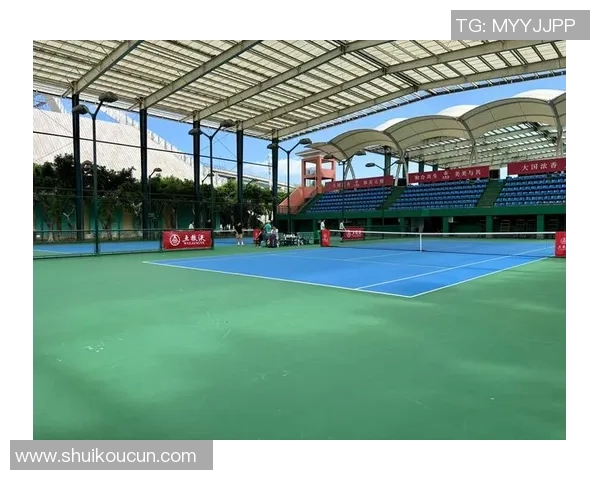 成都网球队表现出色最新网球状态TOP10榜单揭晓